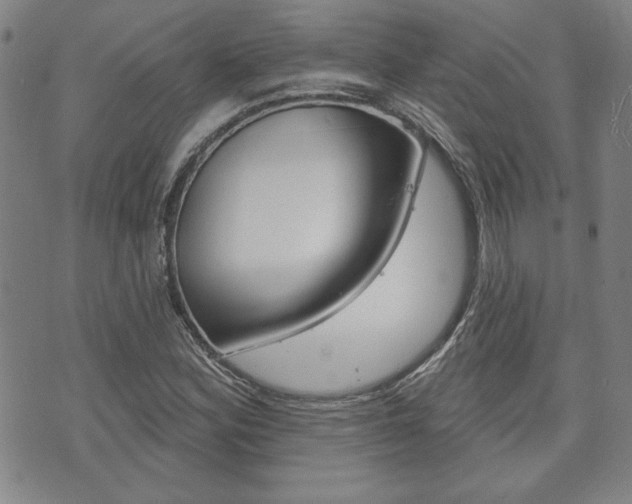 X0000073761164200608031103