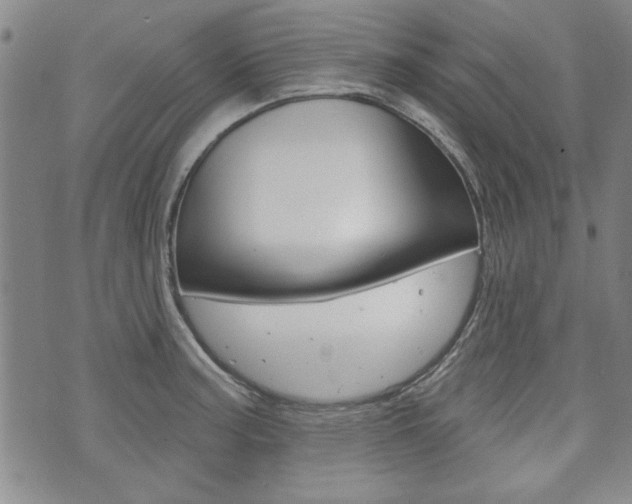 X0000073761187200608031103