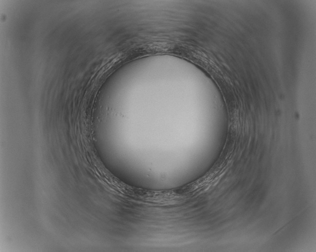 X0000073761201200608031102