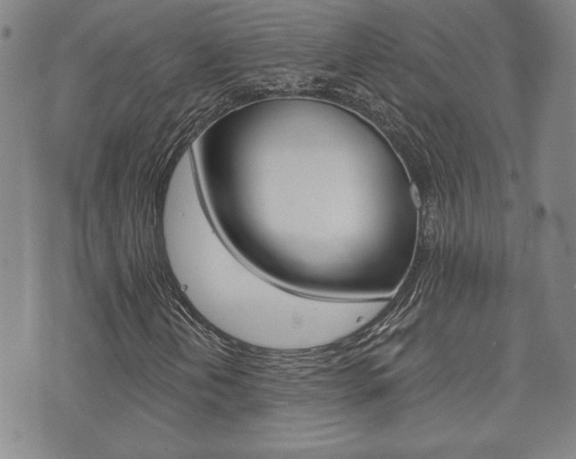 X0000073761202200608031102