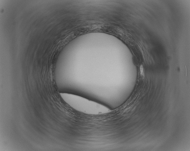 X0000073761203200608031102