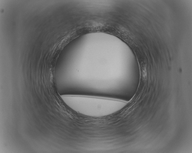 X0000073761204200608031102