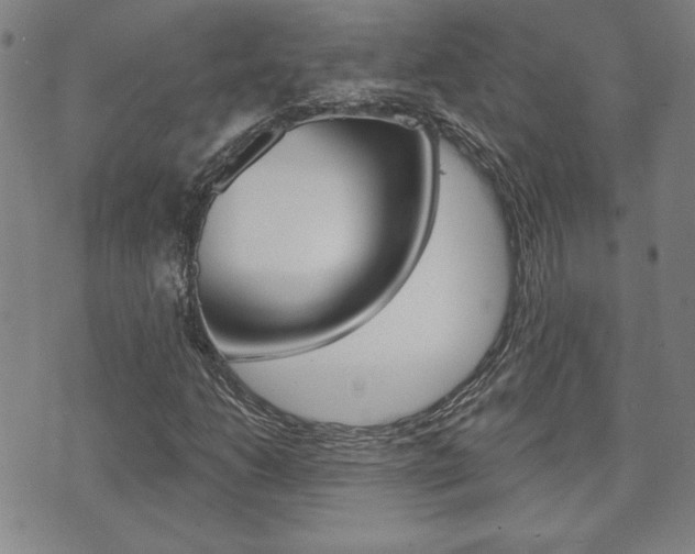 X0000073761206200608031102