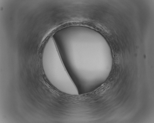 X0000073761208200608031102