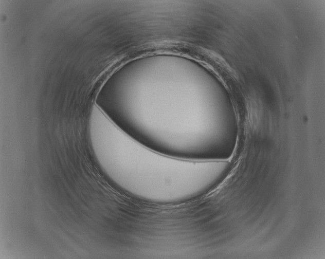 X0000073761209200608031102