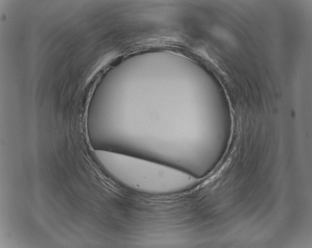 X0000073761211200608031102