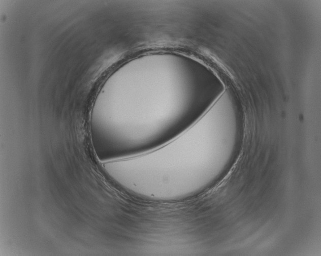 X0000073761213200608031102