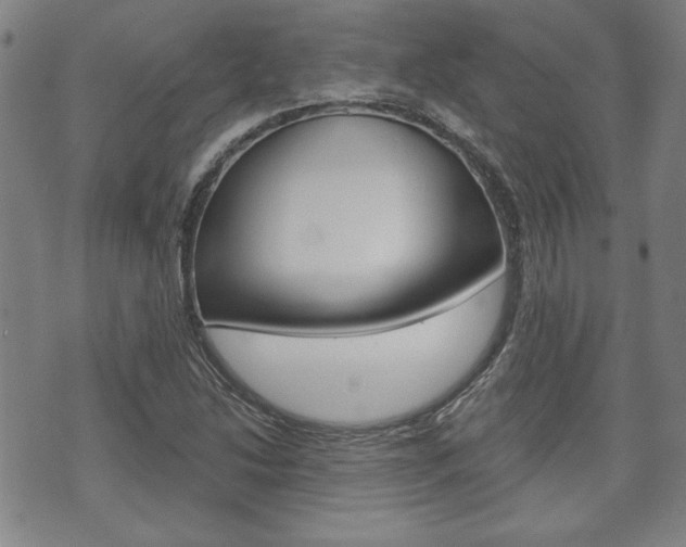 X0000073761214200608031102