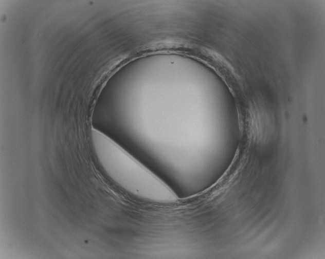 X0000073761217200608031102