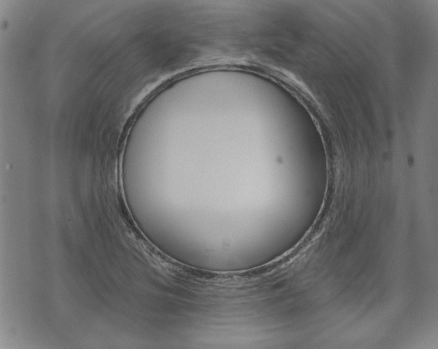 X0000073761220200608031102