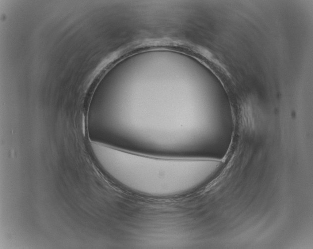 X0000073761221200608031102