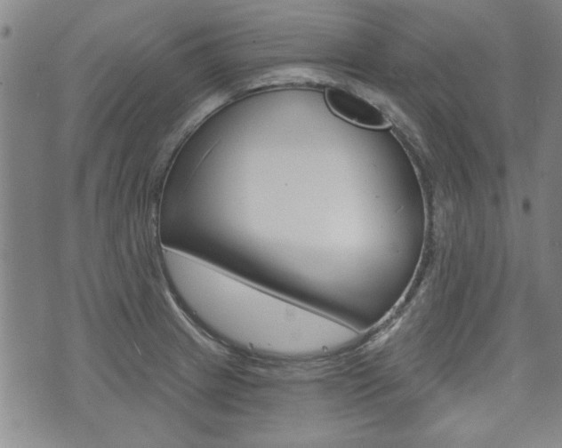 X0000073761233200608031102