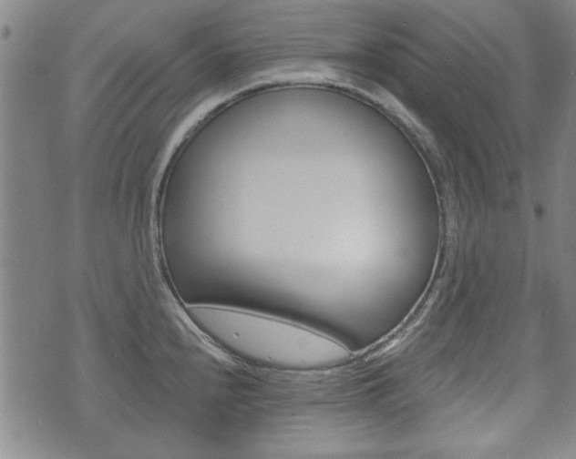 X0000073761240200608031102