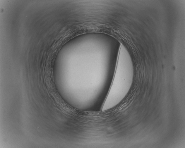 X0000073761249200608031102