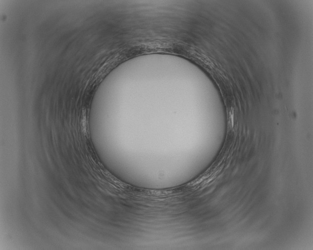 X0000073761251200608031101