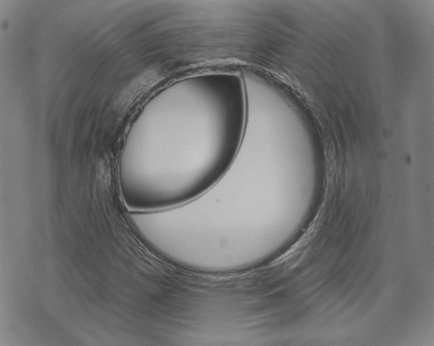X0000073761257200608031101