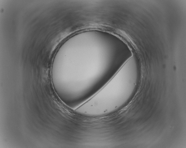 X0000073761260200608031101