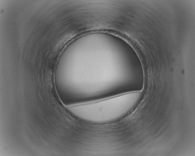 X0000073761265200608031101