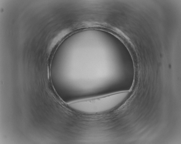 X0000073761269200608031101