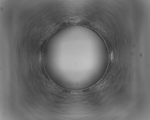 X0000073761299200608031100