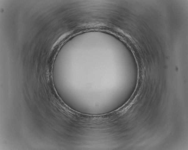 X0000073761306200608031100