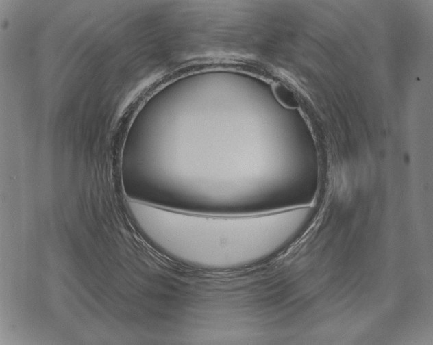 X0000073761307200608031100