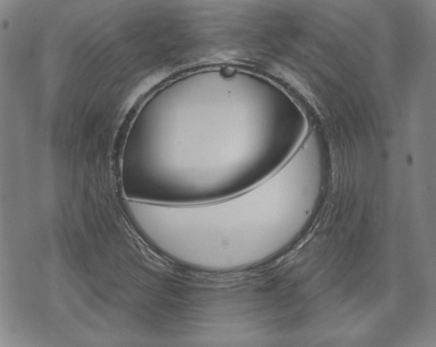 X0000073761308200608031100
