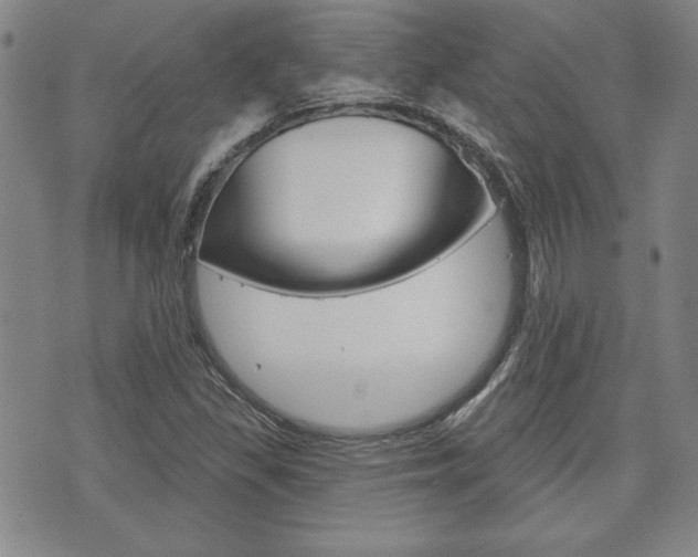 X0000073761309200608031100