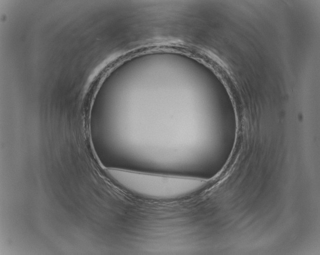 X0000073761310200608031100