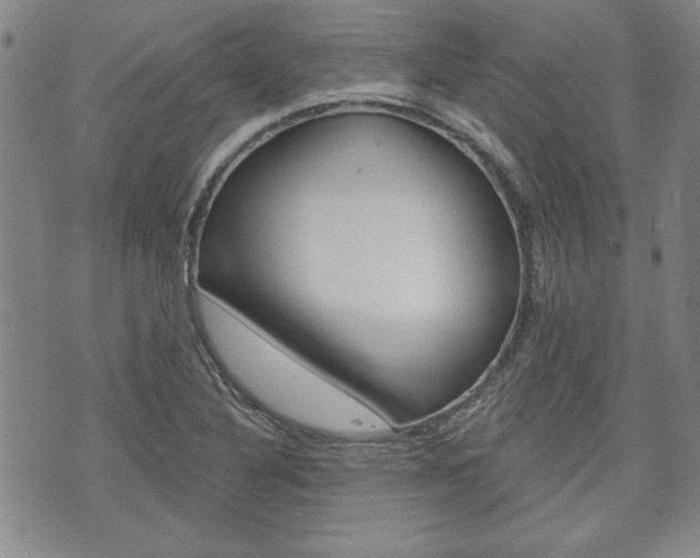 X0000073761316200608031100