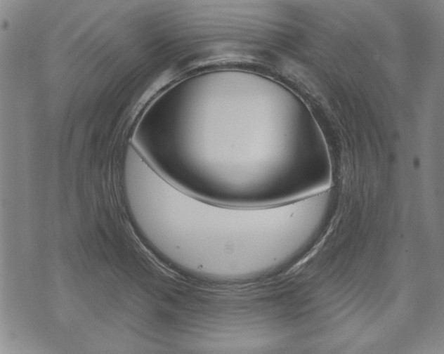 X0000073761321200608031100