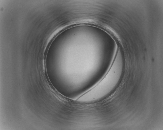 X0000073761324200608031100