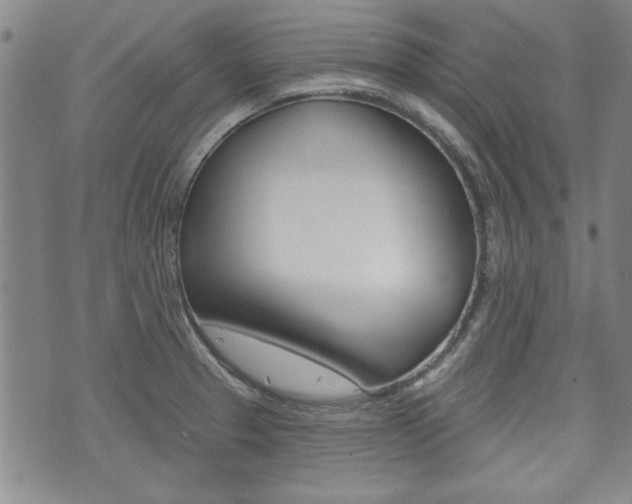 X0000073761329200608031100