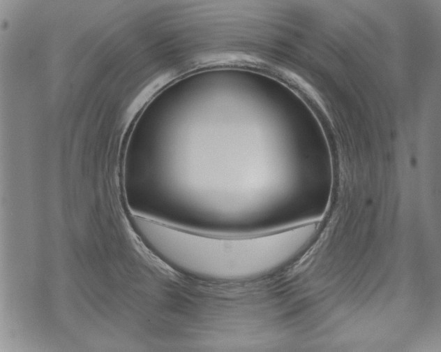 X0000073761330200608031100