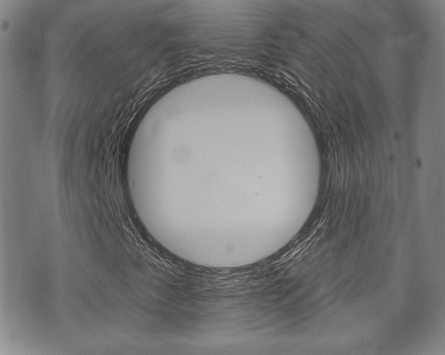 X0000073761345200608031100