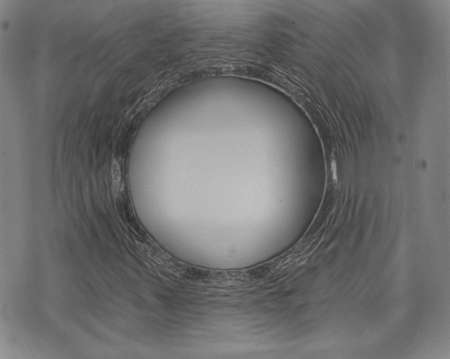 X0000073761347200608031100