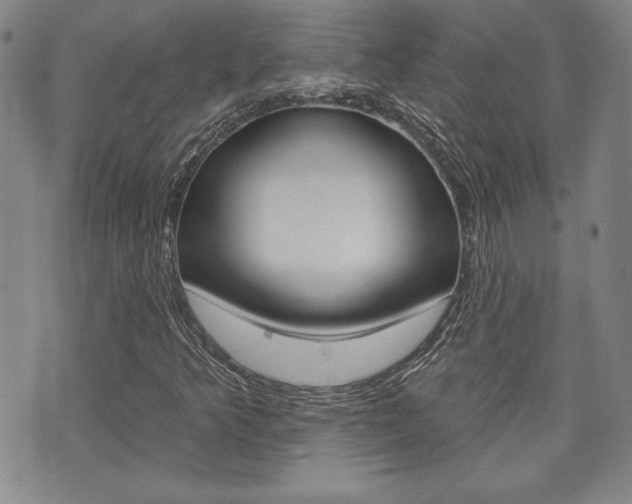 X0000073761349200608031100