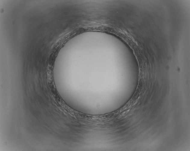 X0000073761350200608031100