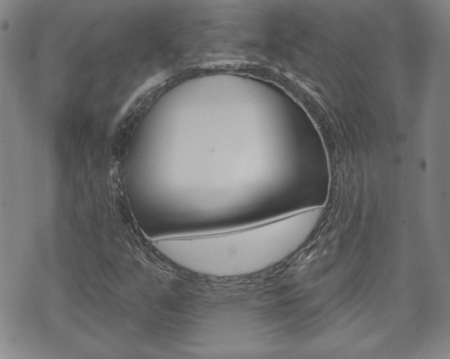 X0000073761351200608031100