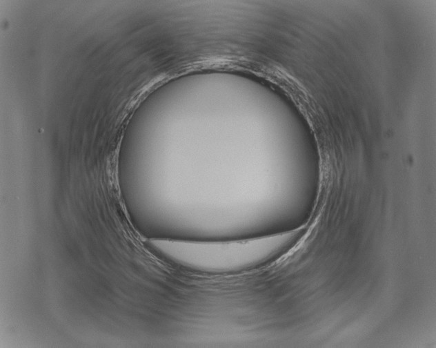 X0000073761353200608031100