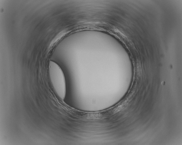 X0000073761354200608031100
