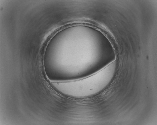 X0000073761360200608031100