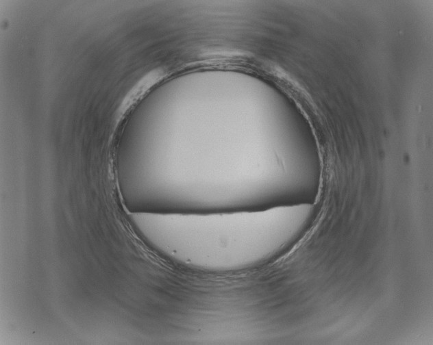 X0000073761362200608031100