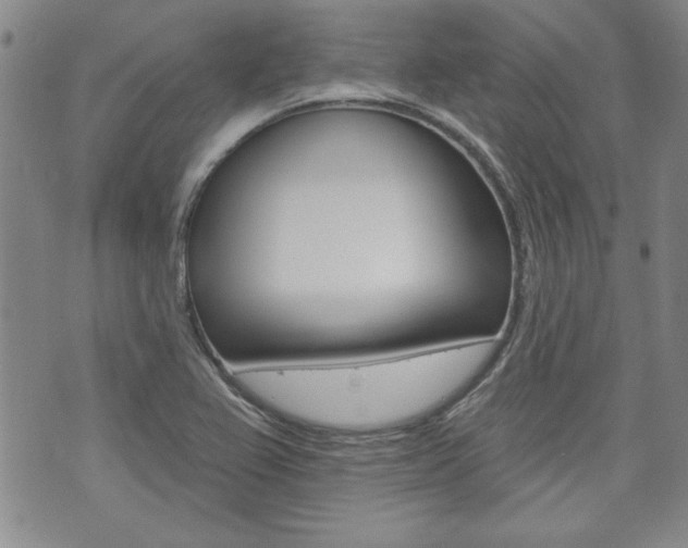 X0000073761367200608031100