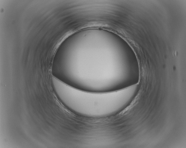 X0000073761369200608031100