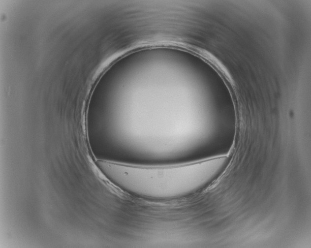 X0000073761388200608031059