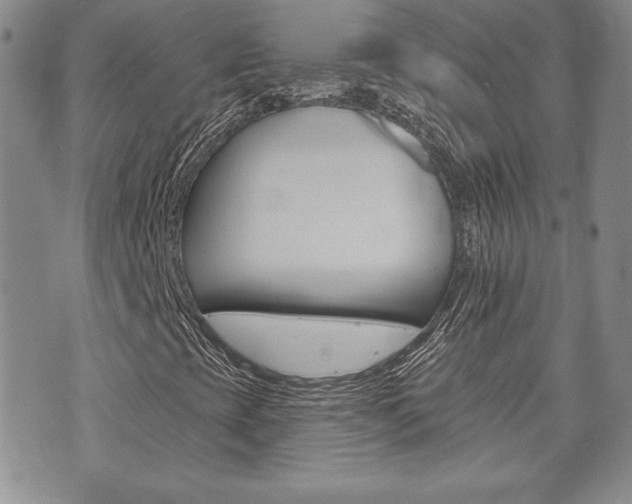 X0000073761393200608031058