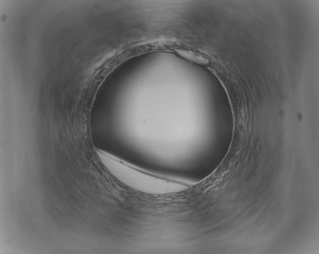 X0000073761398200608031058