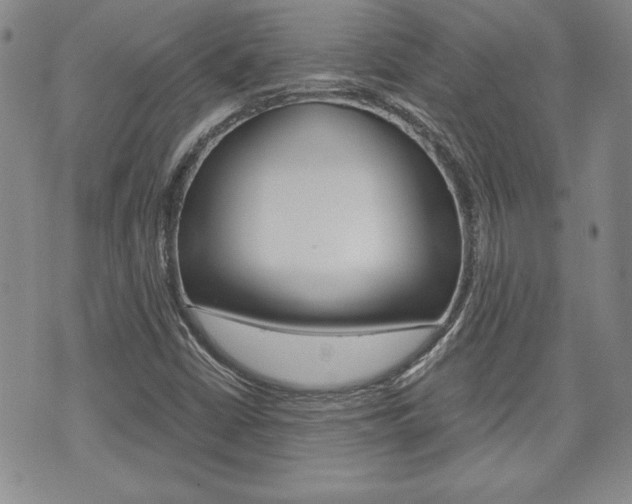 X0000073761402200608031059