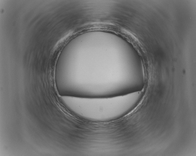 X0000073761403200608031059